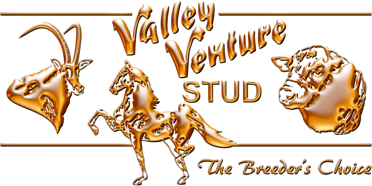 Valley Venture