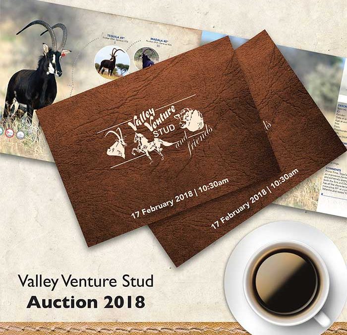 2018 Auction